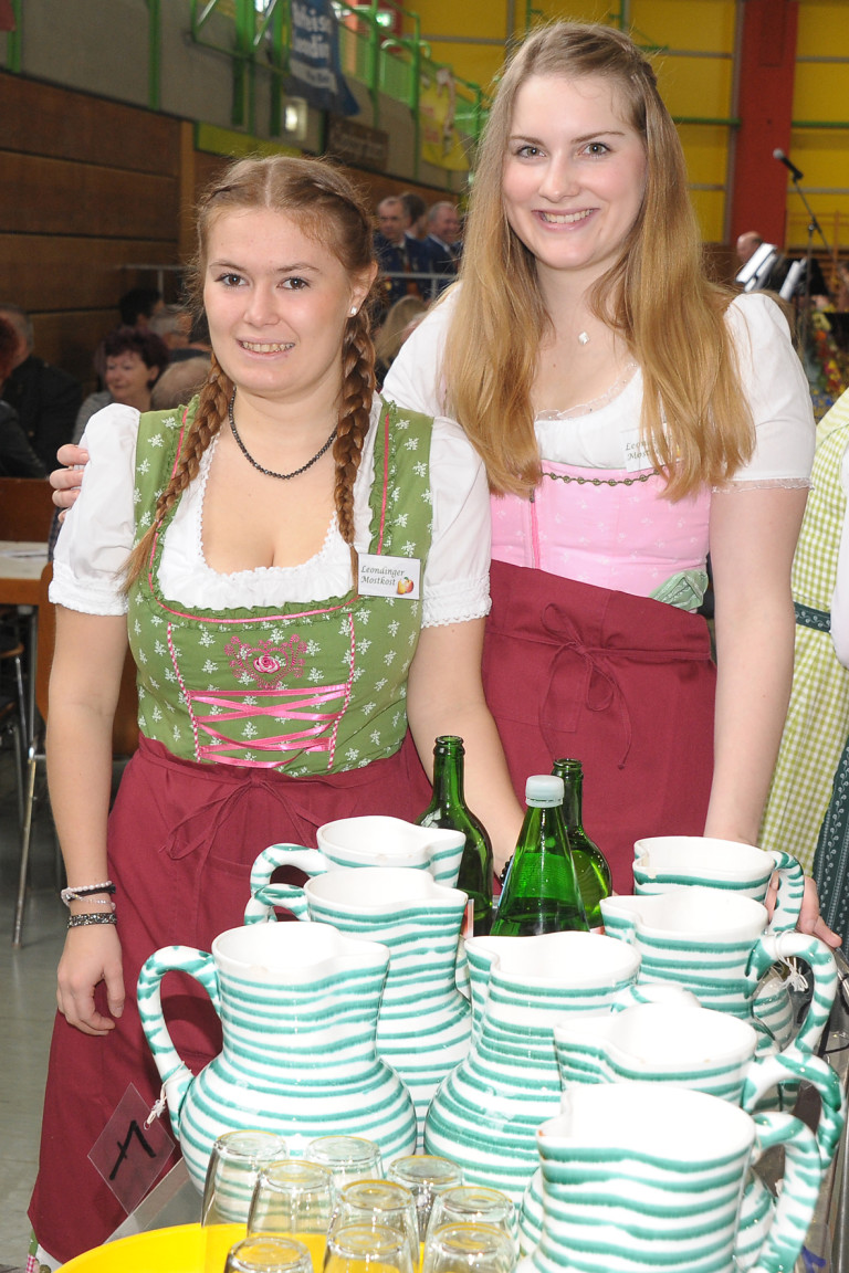 Mostkost in Leonding